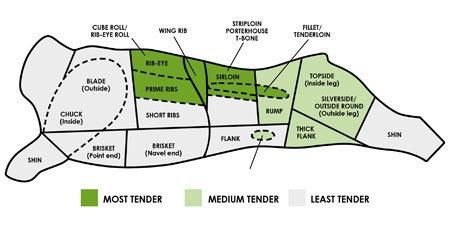 Beef simple cow meat cut diagram 